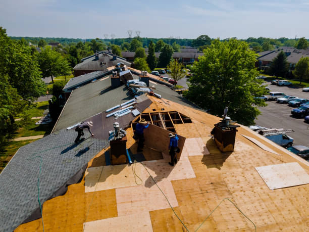 Trusted Emergency Roof Repair service in Battleboro, NC - Brentwood Metal Roofing